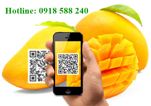 Dịch vụ đăng ký mã vạch tại Sa Pa