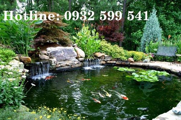Thiết kế thi c&ocirc;ng hồ c&aacute; Koi tại Tuy Phong